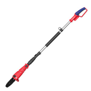 Κονταροπρίονα Μπαταρίας