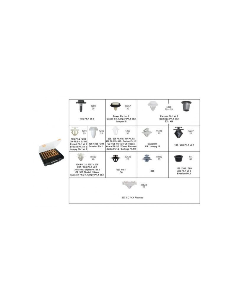 ASSORTMENT OF BODY SHELL BELTLINE MOULDING CLIPS CITROËN-PEUGEOT TYPE