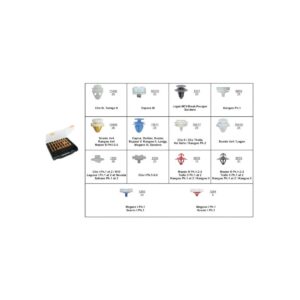 ASSORTMENT OF BODY SHELL BELTLINE MOULDING CLIPS RENAULT TYPE