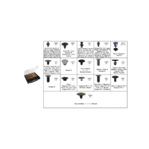 ASSORTMENT OF INTERIOR AND EXTERIOR TRIM CLIPS DACIA-RENAULT TYPE