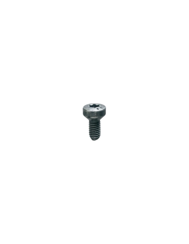 BLACK ZINC PLATED COUNTERSUNK HEAD MACHINE SCREW M6-1.00 X 17,5 mm DOOR LOCK