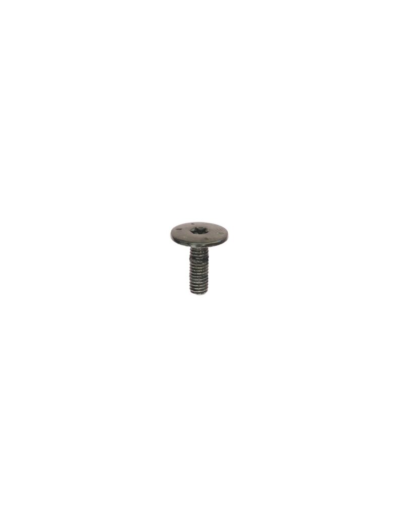 EXTRA LARGE DOME HEAD BLACK SCREW M6-1.00 X 18 mm DOOR LOCK