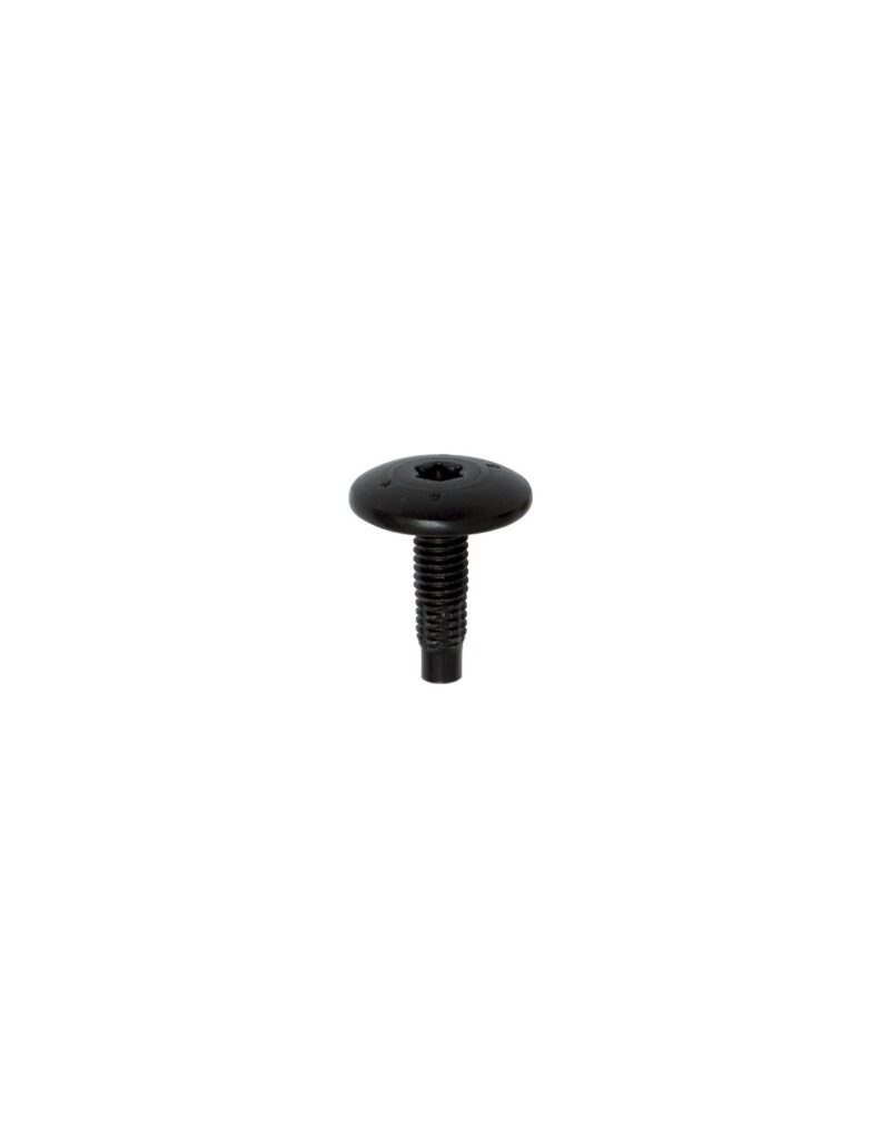 EXTRA LARGE DOME HEAD BLACK SCREW M6-1.00 X 20 mm BODYWORK
