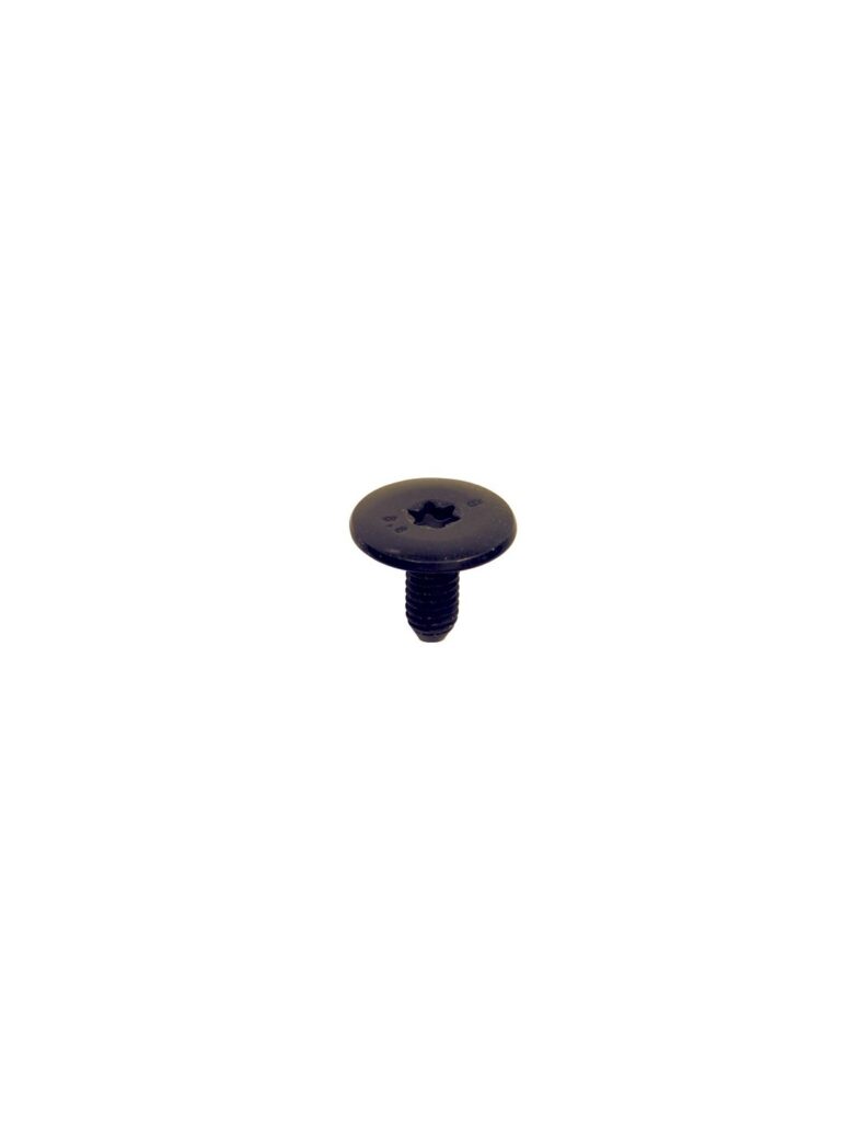 EXTRA LARGE DOME HEAD SCREW M6-1.00 X 13,5 mm DOOR LOCK