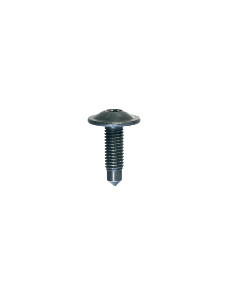 EXTRA LARGE DOME HEAD SCREW M8-1.25 X 26,5 mm DOOR HINGE