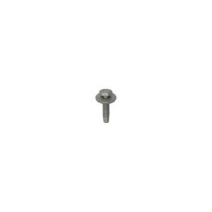 HEXAGON BOLT WITH WASHER M6-1.00 X 25 mm