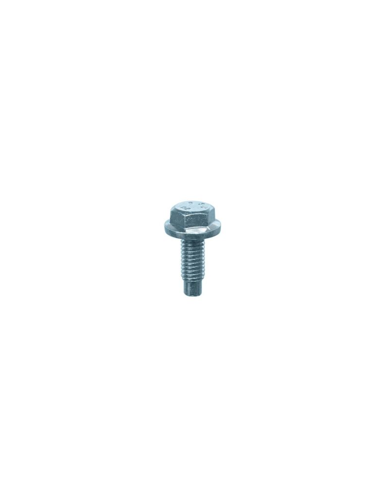 HEXAGON FLANGE SCREW M6-1.00 X 16 mm BODYWORK
