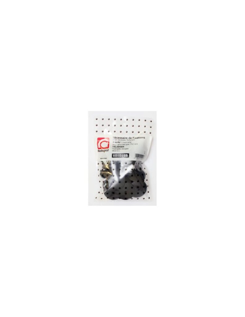 NF KIT Front wing TALISMAN All models 09.2015 →