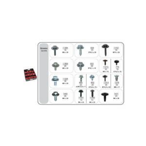 R66/67 SPECIAL SCREWS