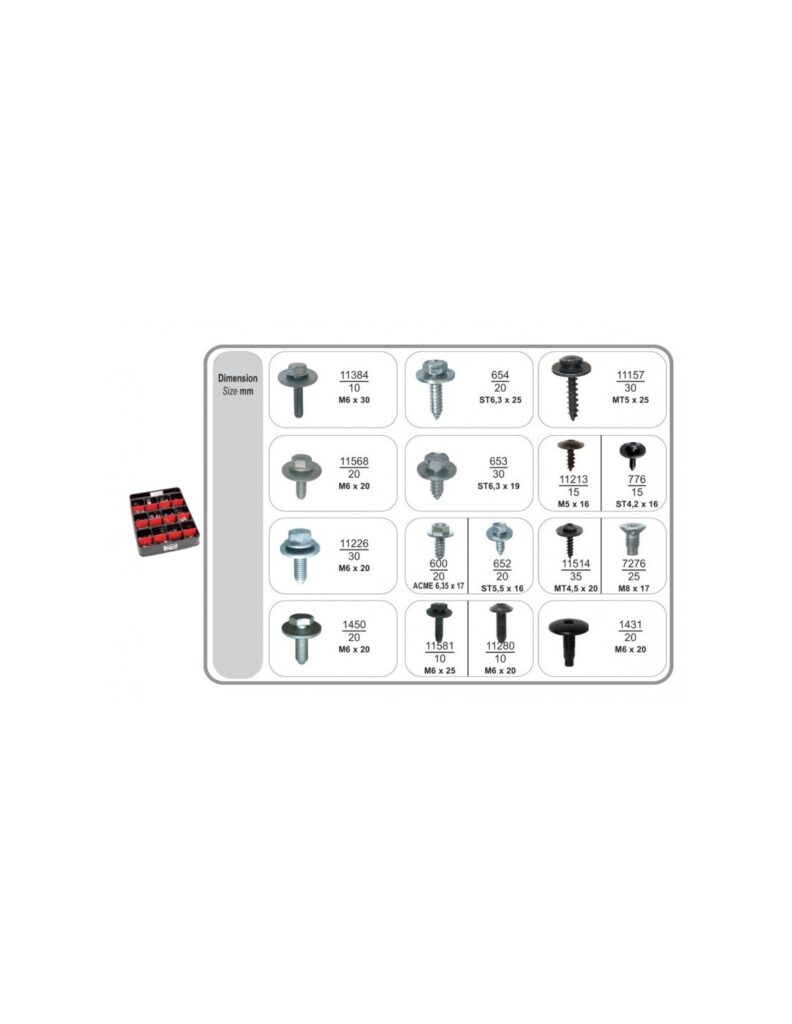 R66/67 SPECIAL SCREWS